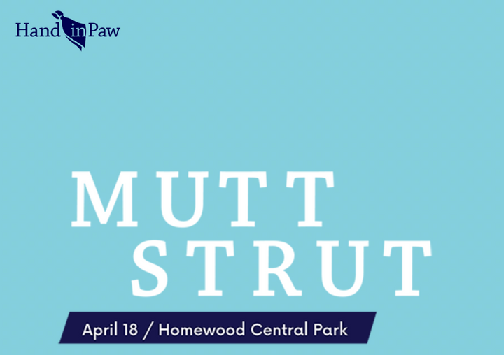we'll be at the Hand In Paw |  Mutt Strutt April 18th | Homewood Park, Birmingham
