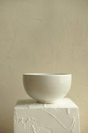 Wheel-Thrown Bowl