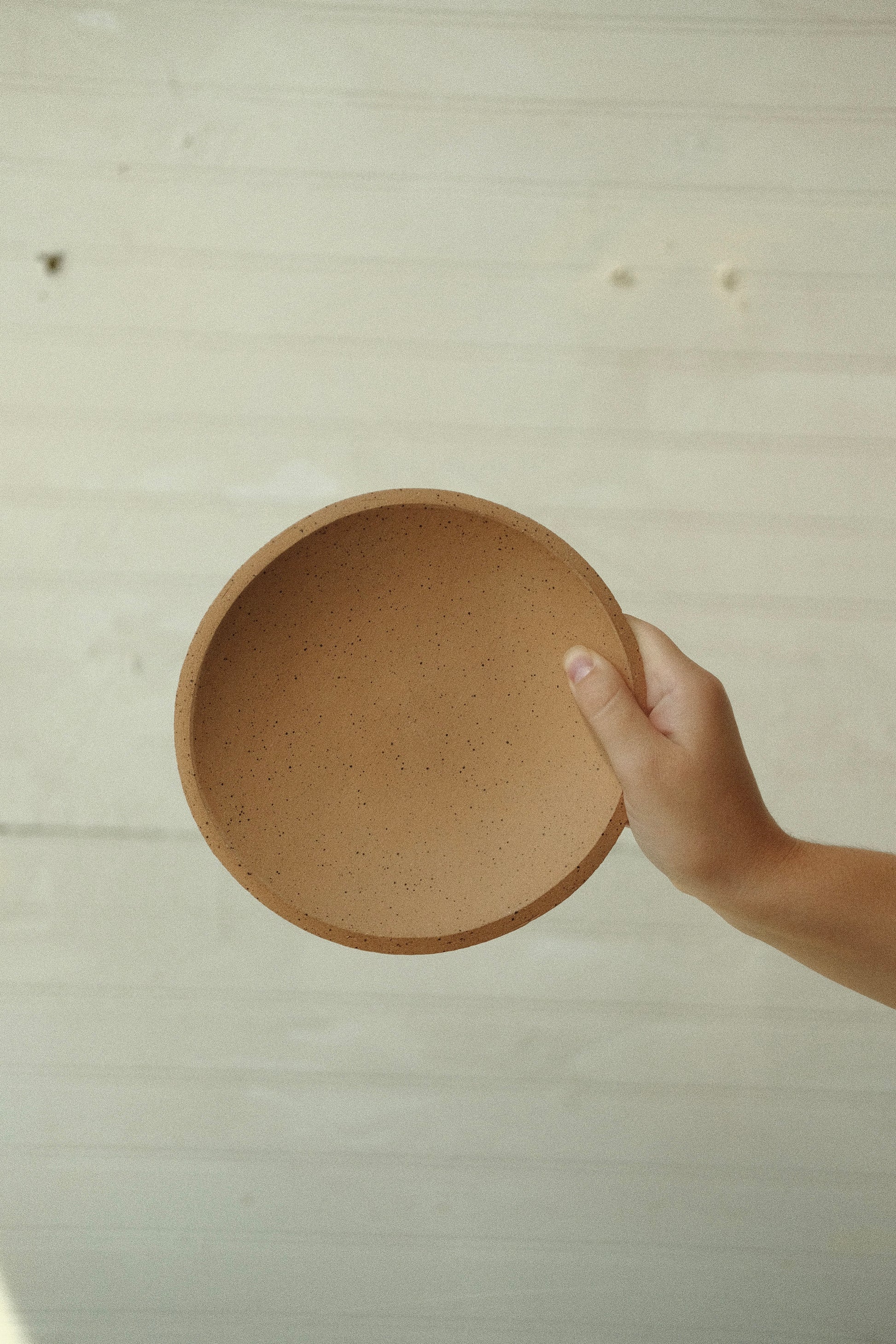 7 Inch Orb Bowl